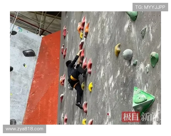 武汉攀岩队在全国攀岩战术排行榜中荣获第九名的佳绩分析