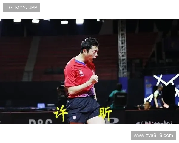 南京网球队防反战术深度解析与实战应用探讨