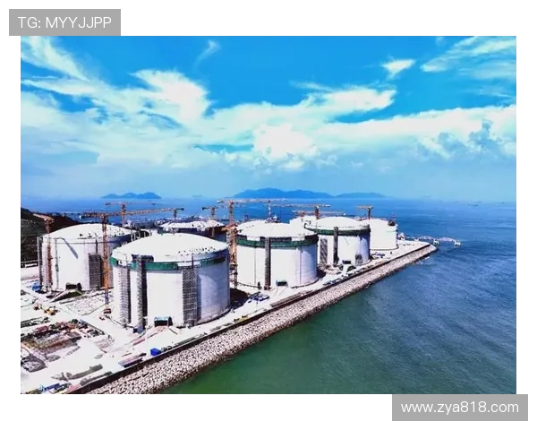 国际邀请赛特别报道LNG战队的蜕变与未来展望