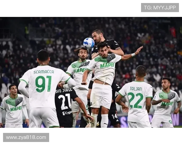 深度分析深圳排球队阵地战战术及其对比赛的影响