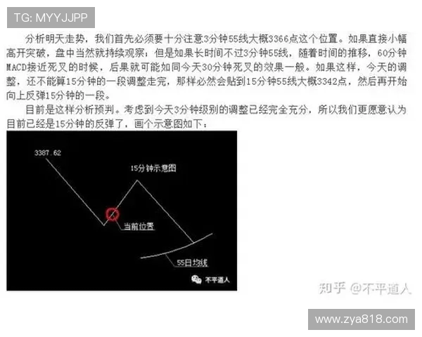广州足球队与武汉足球队赛后技术分析与战术复盘探讨